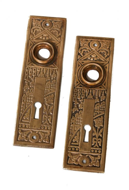 pair 19th century american eastlake style interior residential chicago graystone passage door "ceylon" pattern escutcheons 